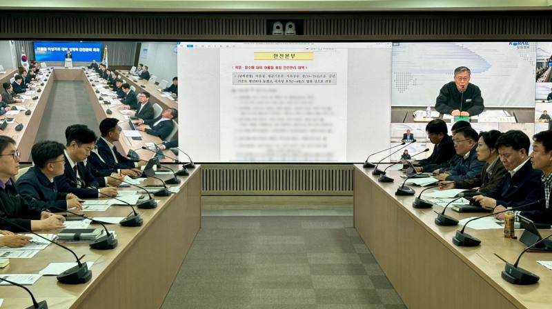 코레일이 17일 전국 영상회의를 열고 여름철 이상기후 대비 안전관리 대책을 점검했다./코레일