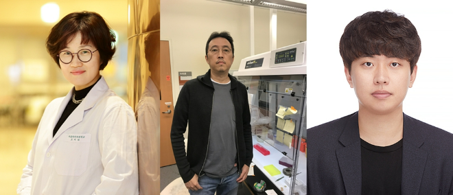 (좌측부터) 조미라 교수, 강태욱 교수, 이아람 박사. (사진제공=가톨릭대학교 가톨릭중앙의료원)