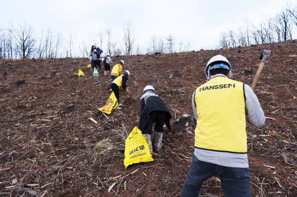 (이미지 제공=한샘)