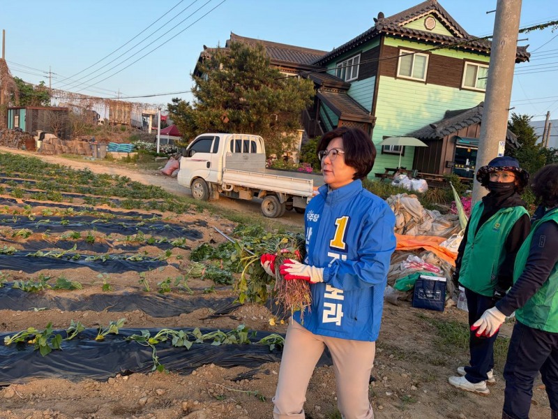 안성시 죽산면 새마을협의회와 부녀회의 고구마 심기 현장을 찾은 김보라 민주당 안성시장 후보 모습./페이스북 캡처