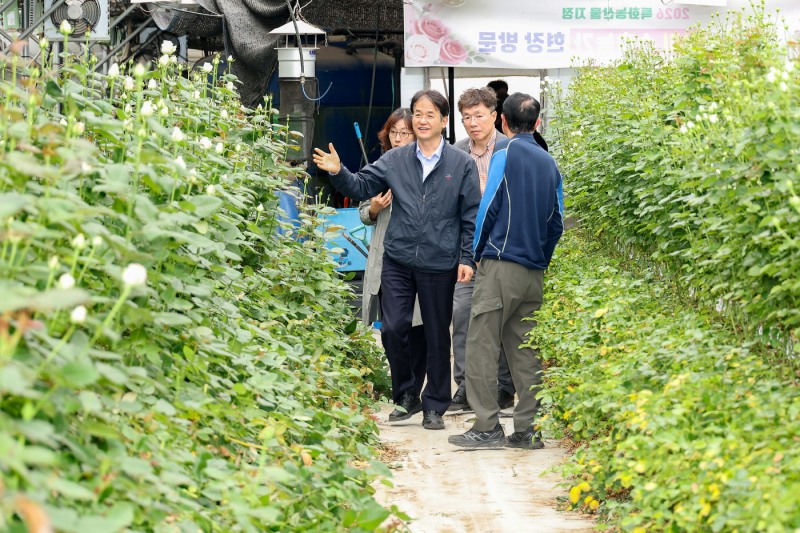 고품질 장미 재배 농가 방문