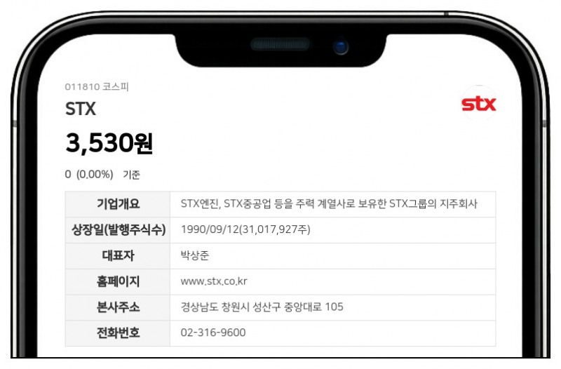 STX 홍라정 임원, 보통주 100주 신규 매수 지분 변동 신고