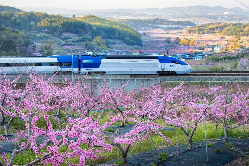 KTX 산천 이미지./코레일