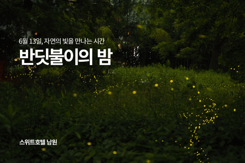 교원그룹 스위트호텔 남원의 ‘반딧불이의 밤’ 홍보물/교원