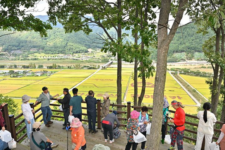 북평 오음봉 산림욕장 전망대 전경/정선군