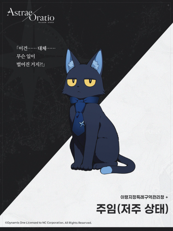 마법과 관련 없는 주인공이 저주로 검은 고양이가 됐다는 설정이 소개됐다(출처=공식SNS).