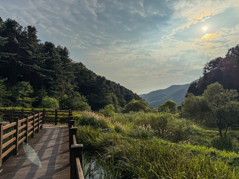 수리산도립공원 전경. /경기도