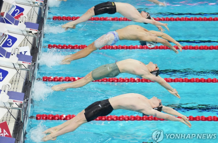 동시에 입수하는 배영 출전 선수. / 사진=연합뉴스