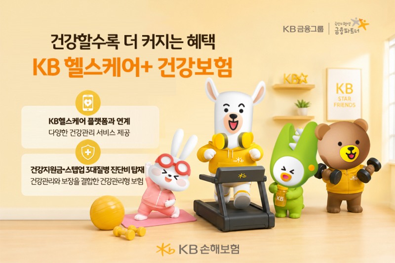/KB손해보험
