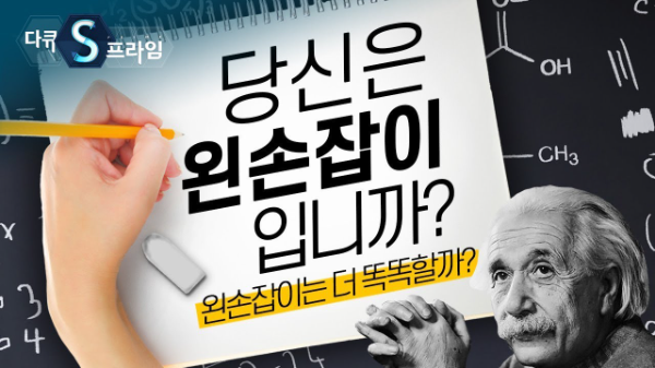 YTN 화면 캡처