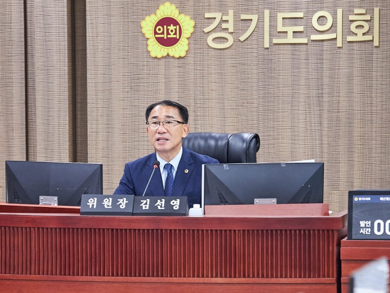 김선영 경기도의원