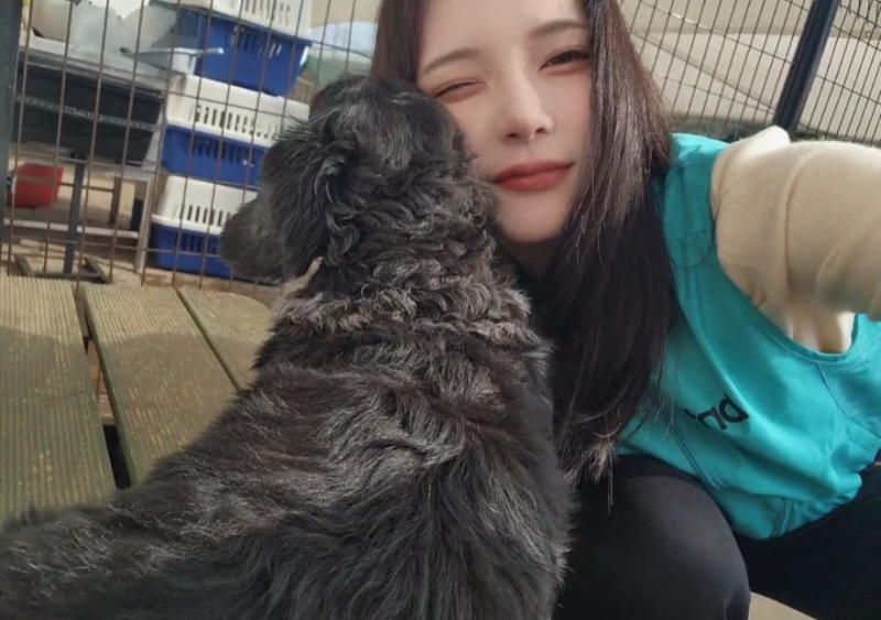 김예리/빅데이터뉴스