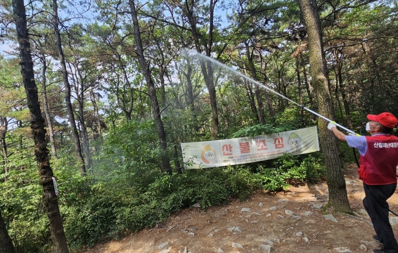 인천 계양구, 계양산·천마산 러브버그 총력 방제 <사진=계양구 제공>