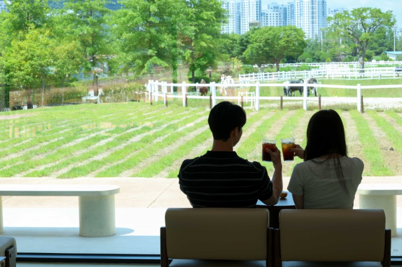 렛츠런파크 서울, ‘슬로우포니’에서 즐기는 이색 힐링 ‘말멍’의 시간