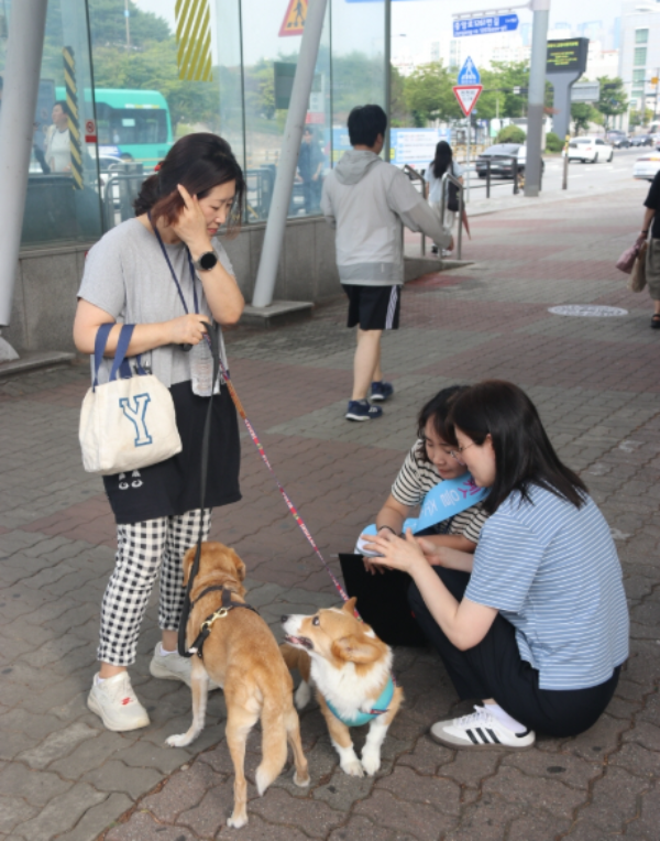 동물등록 및 펫티켓 캠페인