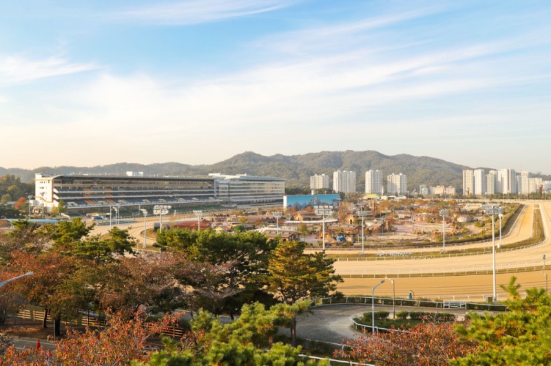한국마사회, 사회적경제기업의 든든한 동반자로 4년 연속 성장을 견인하다