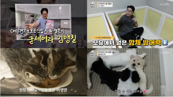 로얄캐닌이 김명철·설채현 수의사와 함께 선보인 유튜브 콘텐츠 이미지
