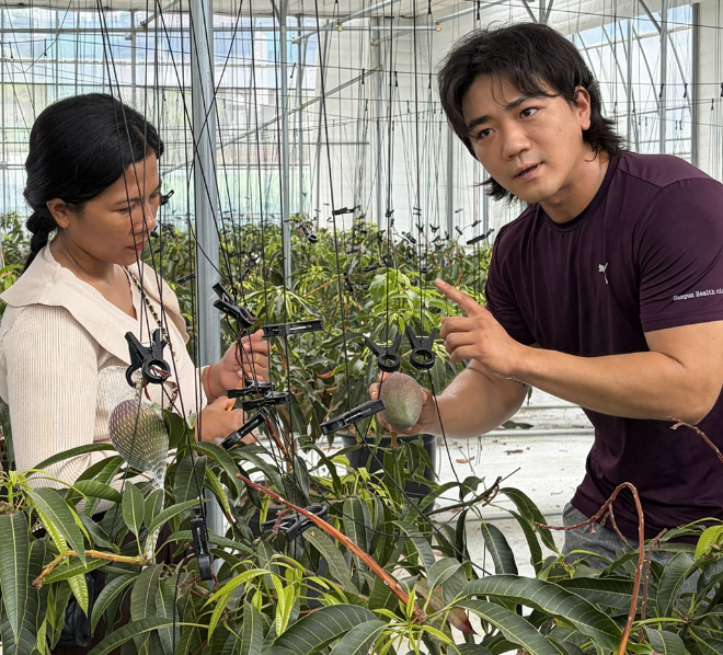 캄보딘아 NUBB 교수진 양평 망고농장 방문 사진. (사진제공=덕성여대)