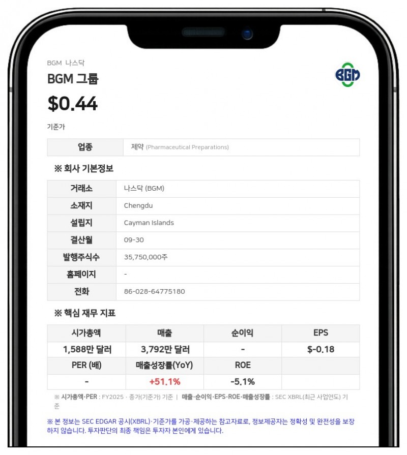 BGM 그룹, 2025 회계연도 매출 3791만 달러 기록…순손실 2021만 달러로 확대