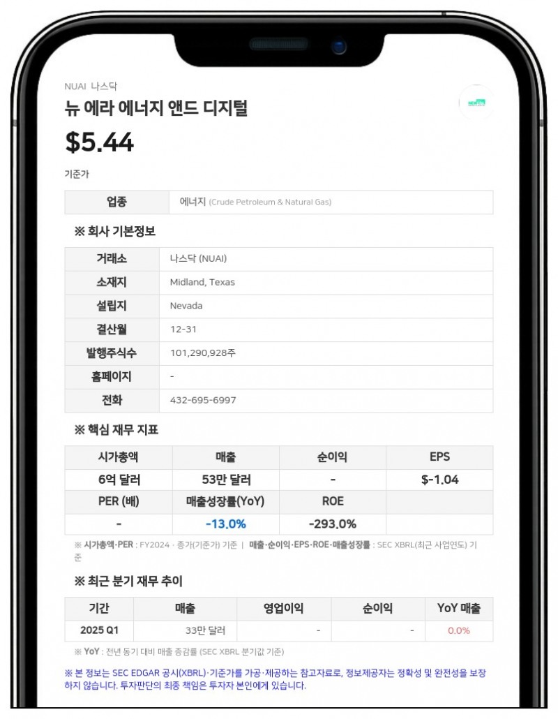 뉴 에라 에너지 앤드 디지털, 1분기 재무제표 오류로 정정 결정… "기존 보고서 신뢰 불가"