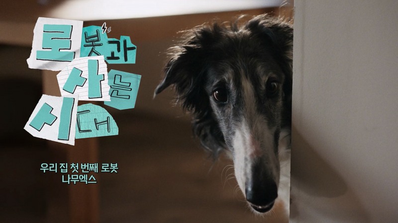 SK인텔릭스, ‘나무엑스’ 신규 광고 공개···반려견의 시선으로 담아낸 ‘로봇과 사는 시대’