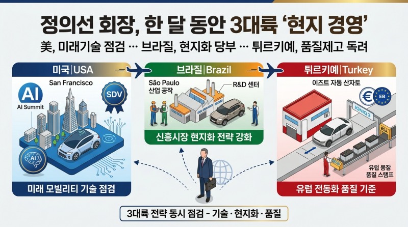 정의선 회장, 한 달 동안 3대륙 ‘현지 경영’