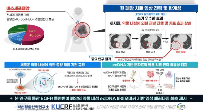 연구 결과 모식도. (사진제공=단국대)