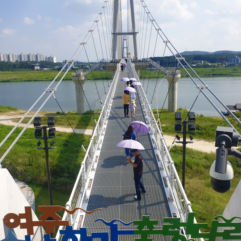 보라색 우산을 쓴 관광객들이 참한강 출렁다리를 건너고 있다. /여주세종문화관광재단