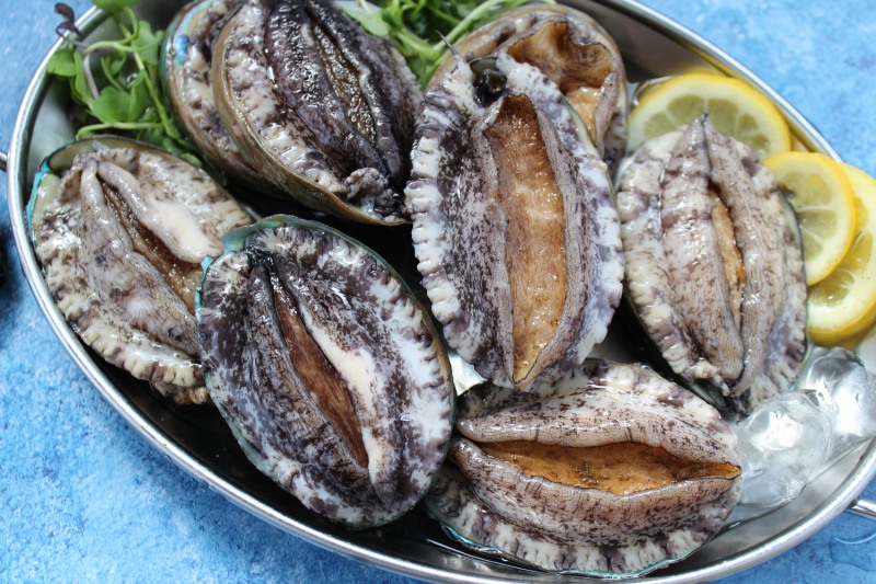 완도산 전복 (사진제공=완도군)