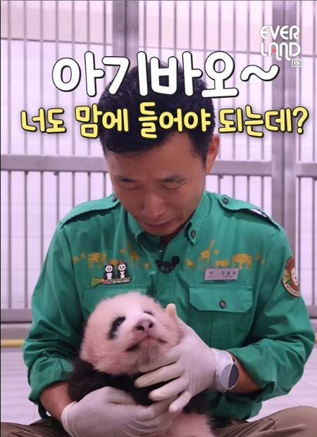 아기판다 이름 투표 이벤트에 참가한 판다 할부지 강철원 주키퍼/에버랜드 SNS 영상 캡쳐