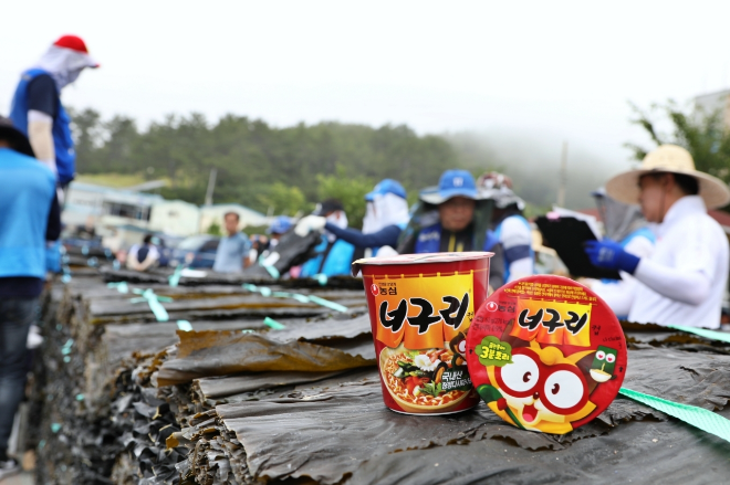 농심, 완도 햇다시마 490톤 구매...소비자 관심도 증가