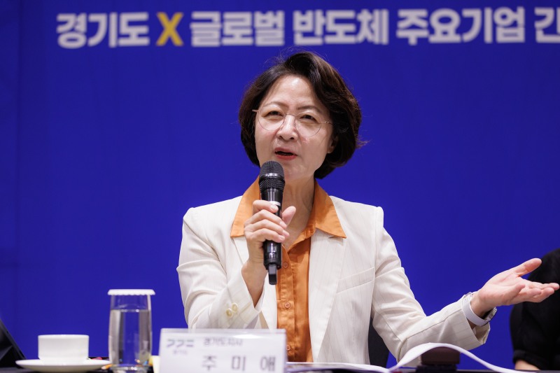 추미애 경기도지사가 27일 발언을 하고있다. /경기도
