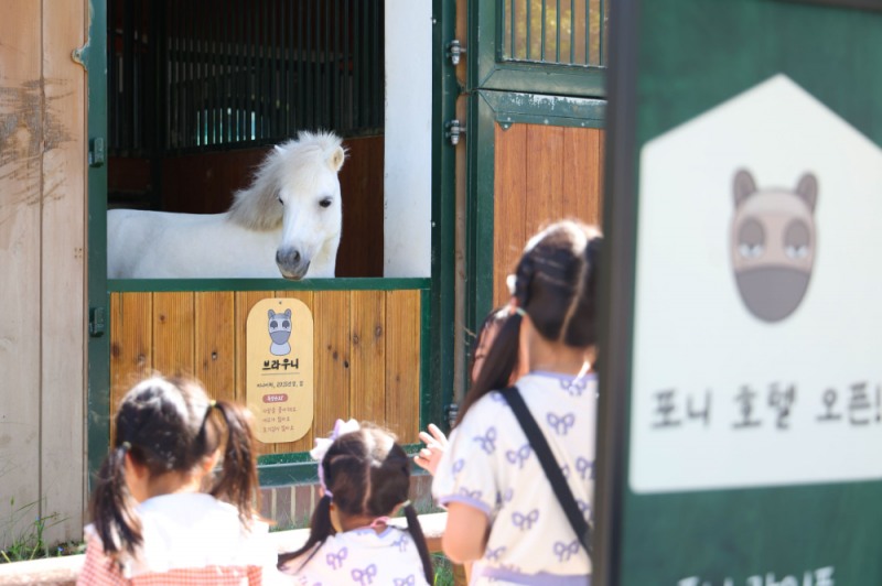 “트로이목마·포니 승마전동차” 렛츠런파크 서울 포니랜드, 가을 가족나들이 명소로 떠올라