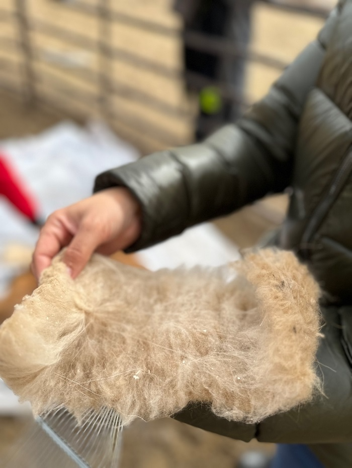 슈캐시미어, 2026 FW 팝업스토어 진행...서울·부산 주요 백화점 5개 지점 진출