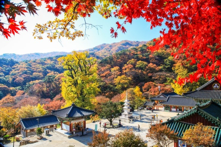 용문산 단풍 전경. /양평군