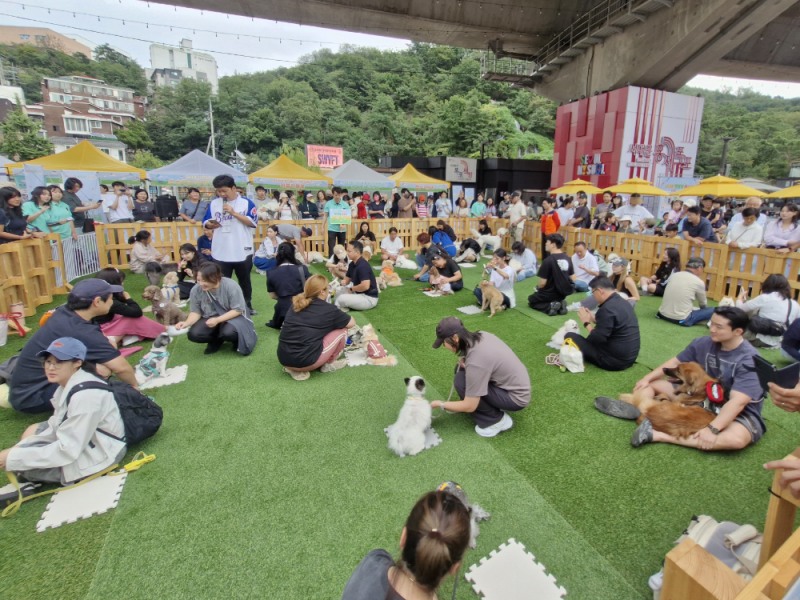 사진=MBC아카데미애견미용학원