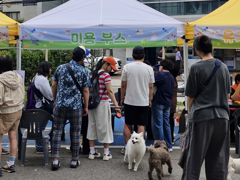 사진=MBC아카데미애견미용학원