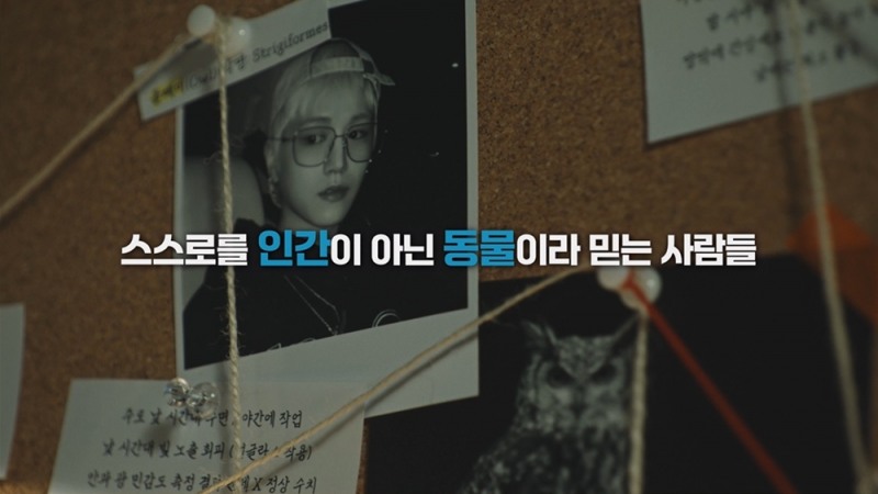 보이넥스트도어, 참신한 컴백 콘텐츠로 흥미 자극