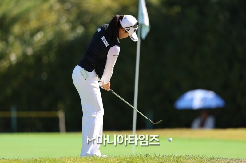 /마니아타임즈 손진현 기자