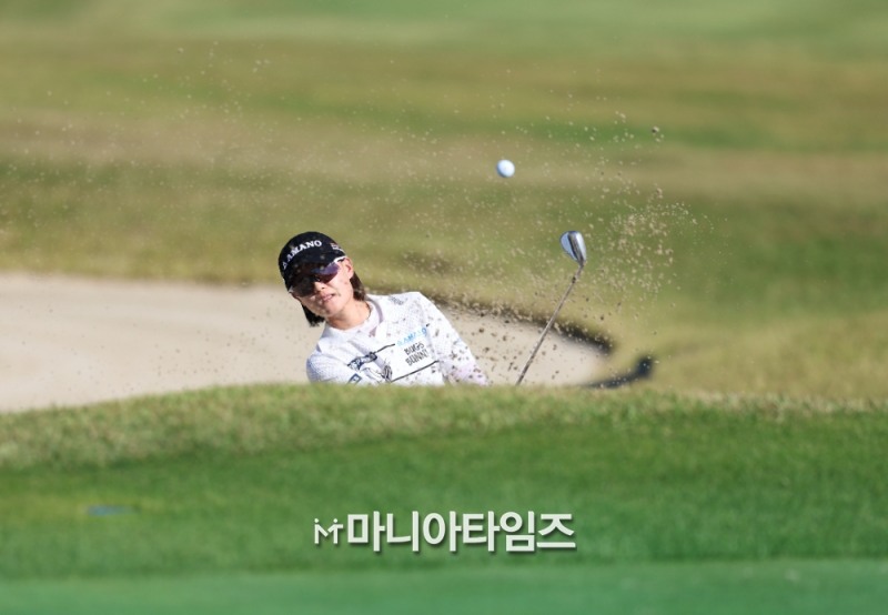 /마니아타임즈 손진현 기자