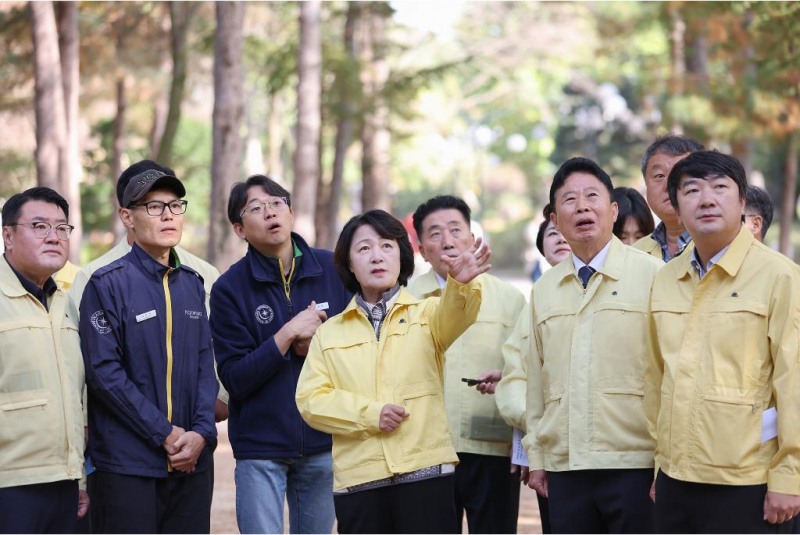 9일 오전 남이섬을 방문한 추미애 경기도지사가 소나무재선충병 방제관련 방제 현장 확인을 하고있다./경기도