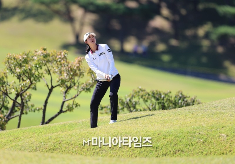 /마니아타임즈 손진현 기자