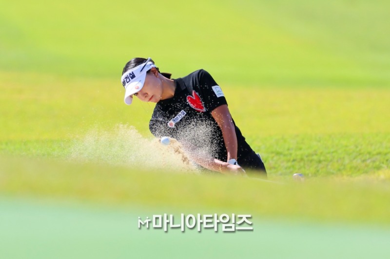 /마니아타임즈 손진현 기자