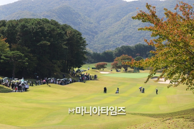 /마니아타임즈 손진현 기자