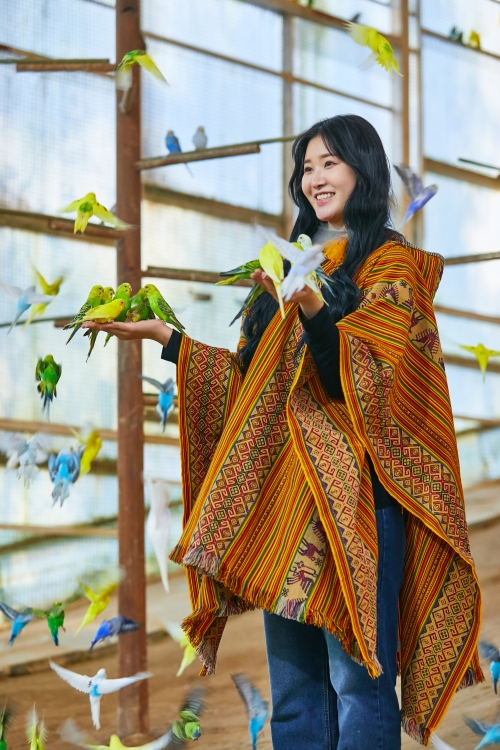 사진=알파카월드 제공