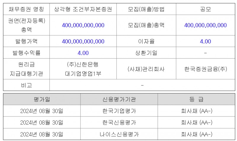 발행현황(자료=금융감독원 전자공시시스템)