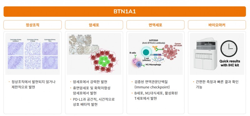 (자료=에스티큐브 홈페이지)