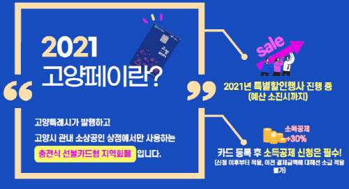 고양시-경기도, '고양페이 부정 유통' 일제 단속 실시