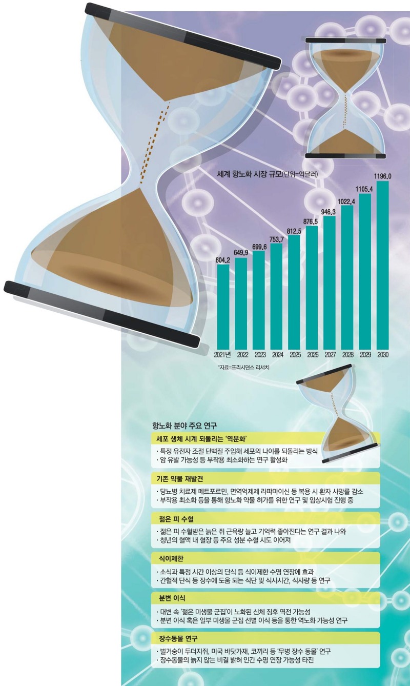 평생 젊은 얼굴로 산다?..구글이 뛰어든 역노화 기술