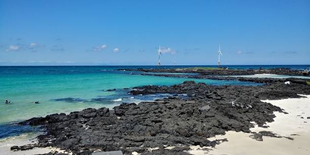 제주도, 워케이션 선도지역 조성...기업 연계 확대